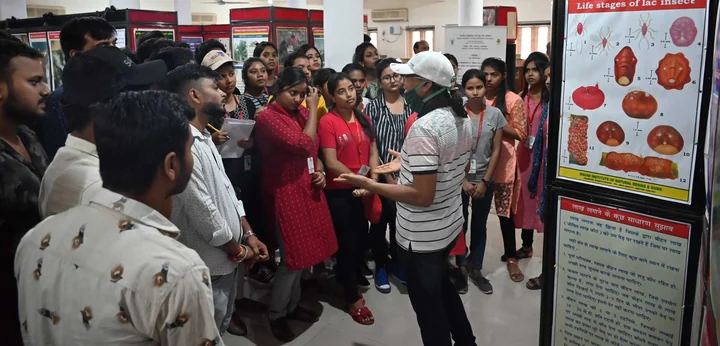 राष्ट्रीय संस्थान की प्रदर्शनी में लाख से जुड़े नमूने देखते आगंतुक